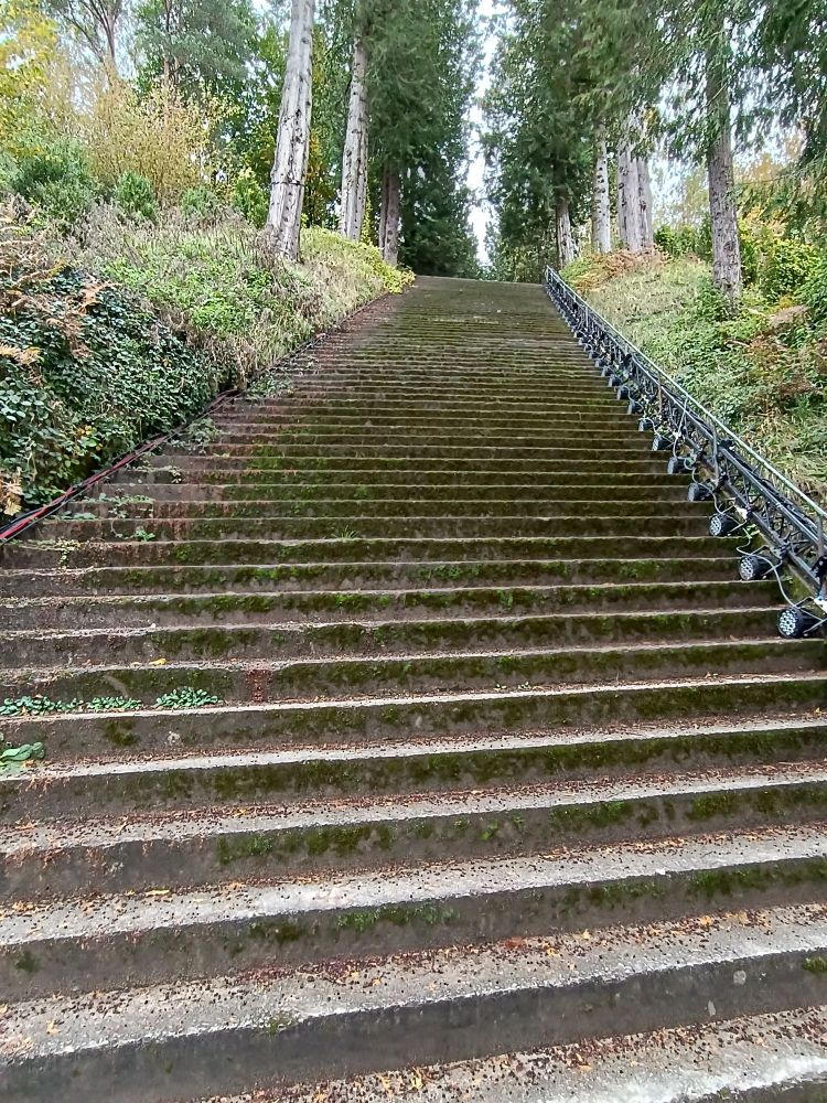 Photo d'un escalier dans un parc arboré en contre plongée, de jour