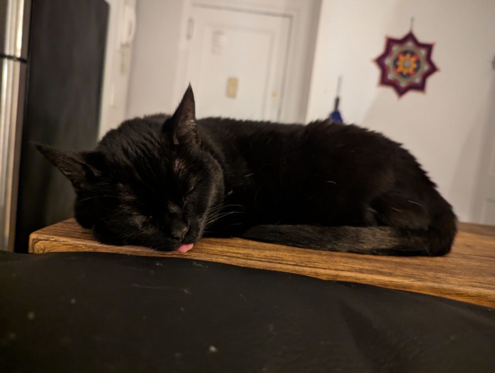 A peaceful black cat sleeps on a table, her pink tongue poking out in a blep.
