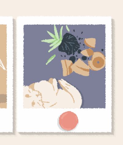 Illustrated Polaroid of a fluffy cat looking up shamelessly at the photographer with a broken terra cotta pot and soil and the remains of a succulent in front of them.