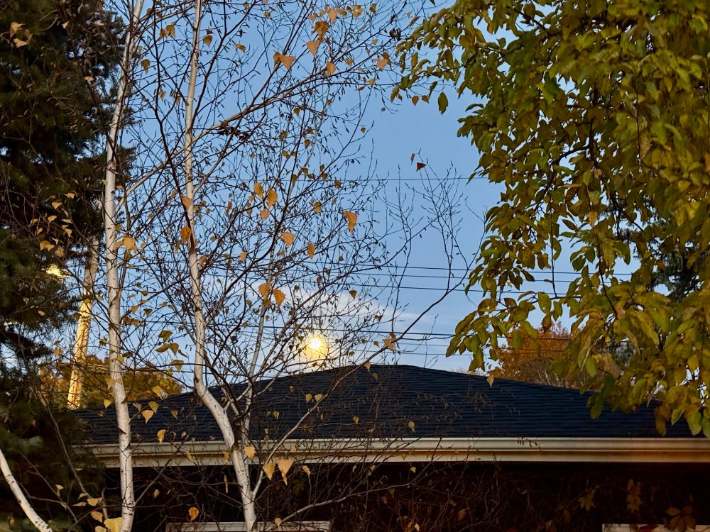 Terrible photo of the full beaver moon above my garage roof