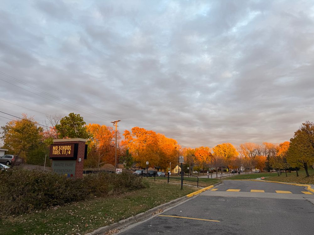 Trees in fall colors glow against a silvery sky