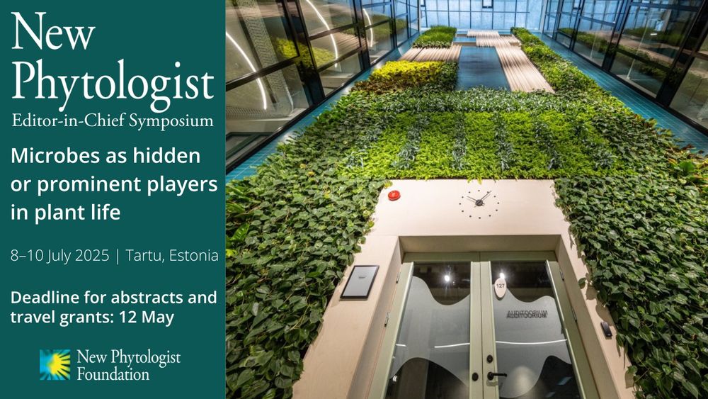 Photograph of the living wall at Oecologicum, University of Tartu.