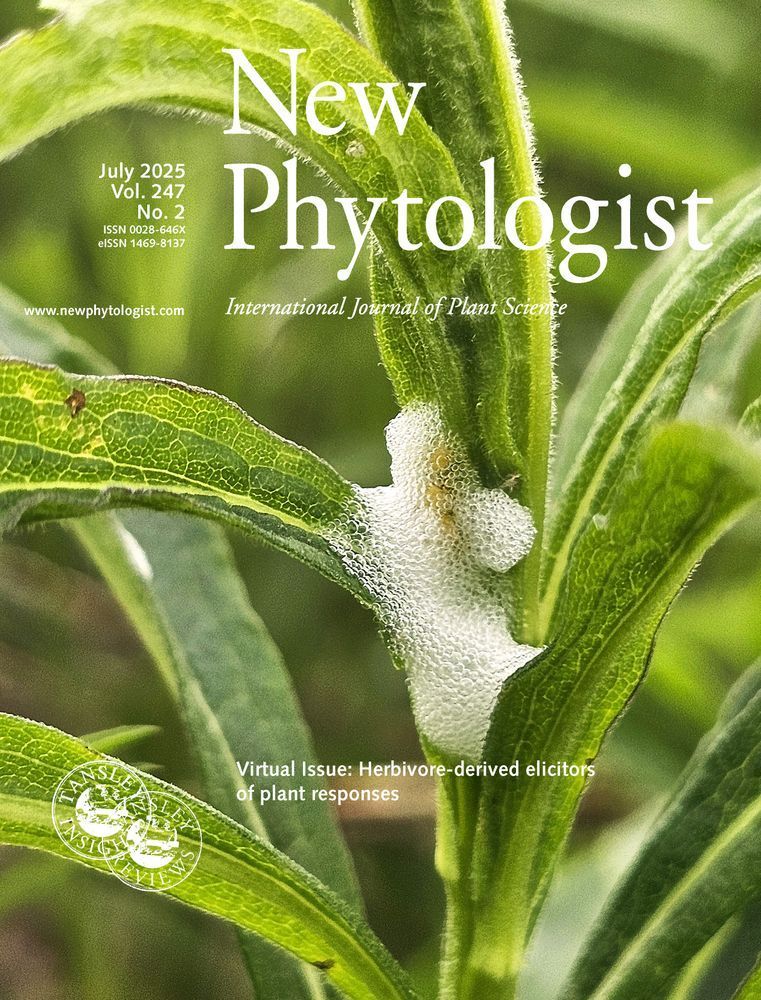 On the cover of New Phytologist volume 247, issue 2: Spittlebug (Philaneus spumaruis) producing foam on tall goldenrod (Solidago altissima). Image courtesy of André Kessler.