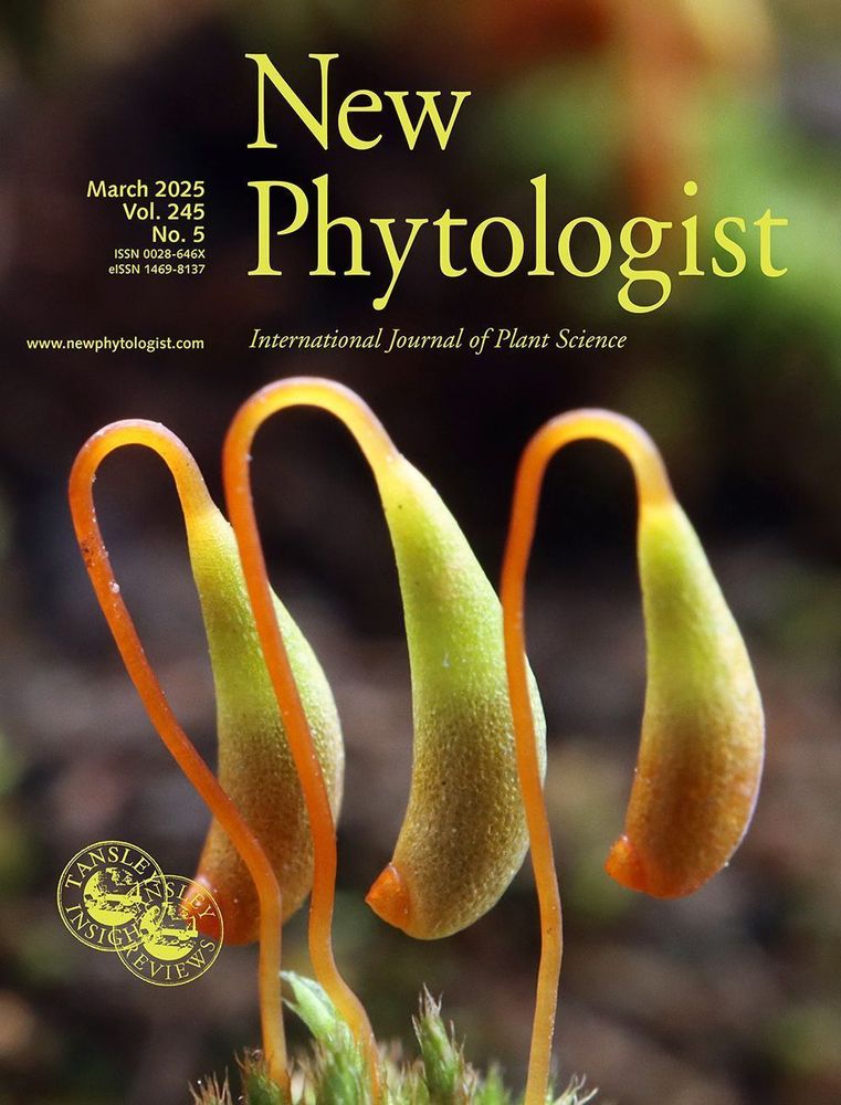 Cover of New Phytologist 245:5 (March 2025). Ptychostomum demissum, an acrocarpous moss with strongly asymmetrical capsules in arctic or alpine areas. Image courtesy of Rui-Liang Zhu.