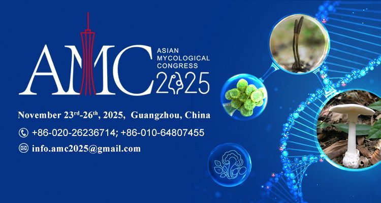 AMC 2025 flyer