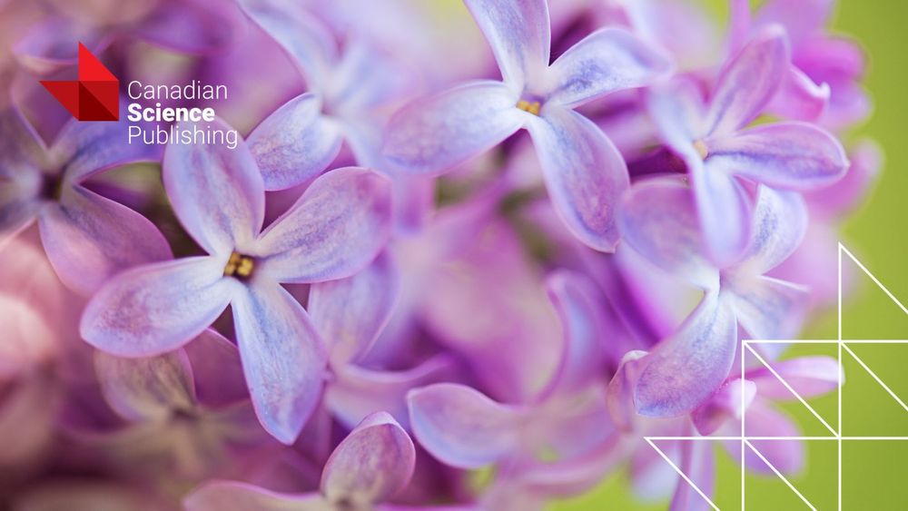 Close up of purple lilacs. The Canadian Science Publishing logo sits in the top left corner and the Canadian Science Publishing blaze emblem sits in the bottom right.