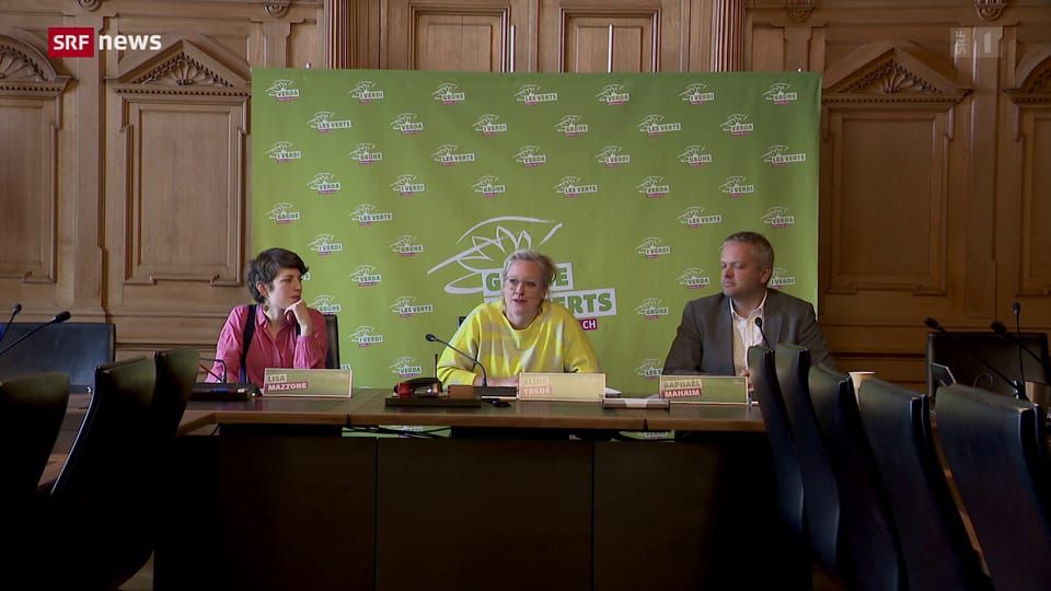 Bilanz der Grünen nach Halbzeit der Legislaturperiode - Tagesschau - Play SRF