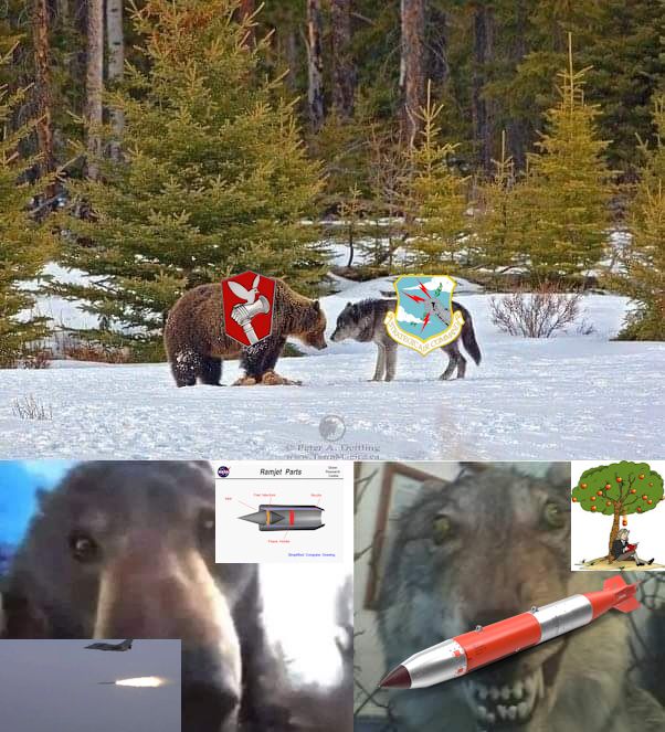 A meme whose templates is the "a bear and a wolf looking at eachover". The brute bear is depicted as the french strategic air forces, while the unhinged wolf is depicted as the american strategic air command.

On the close up view, the bear is seen with images of the ASMP-A ramjet powered nuclear missile, as well as a diagram showing how a ramjet work. The unhinged wolf, on the other hand, has a B61 bomb image and a drawing of Isaac Newton sitting under an apple tree to depict gravity