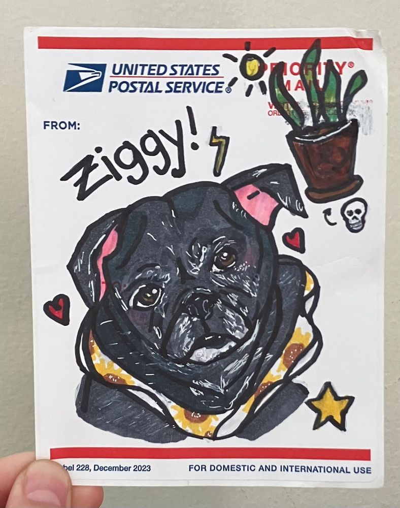 A slap-up sticker with a drawing of a senior pug. He has sunflowers on a scrunchie like collar. It has the name “Ziggy” with a lightning bolt. There are also hearts and stars. In the corner there is a drawing of a potted plant with a little sun and a skull which is on one side of an arrow and the arrow is pointing to the plant. 