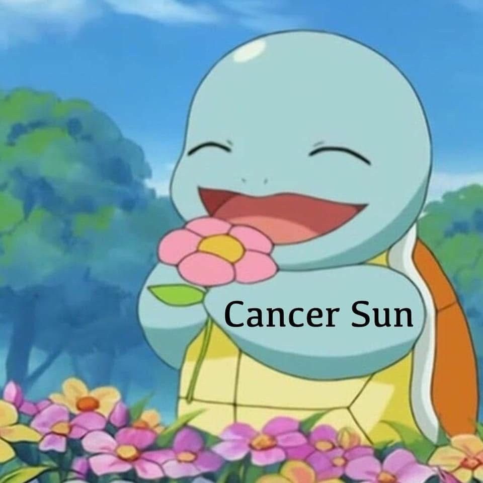 Squirtle (blue turtle, orange shell) in a flower field (pink and yellow flowers) holding a pink flower and smiling