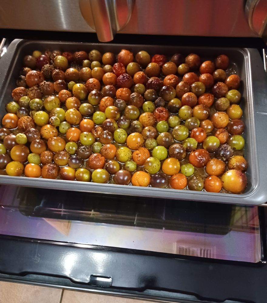 Baking tray in an oven full of green to black to red cherry tomatoes coated in olive oil and seasonings.