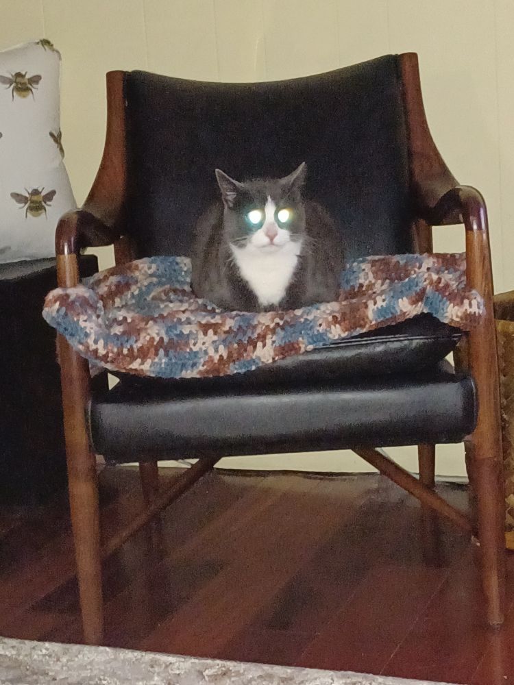 Tuxedo cat(?) Sitting on a black leather chair with a wood frame. The creatures eyes are two large glowing orbs.