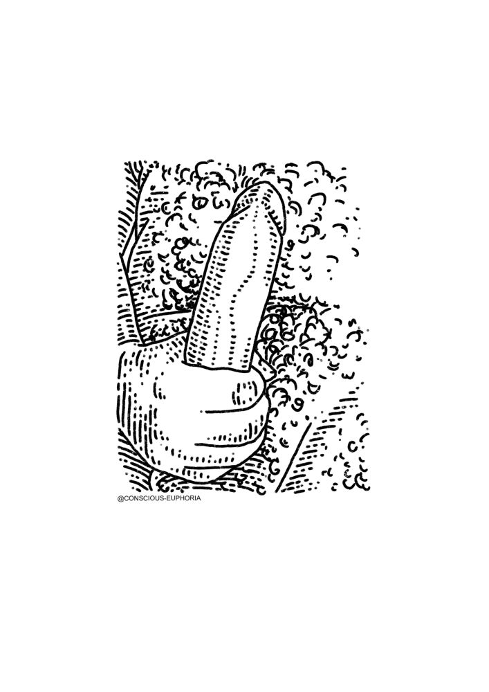 A line drawing of someone holding his erect penis.