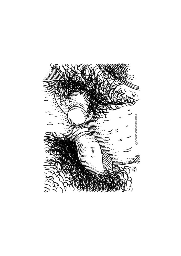A line drawing of two hairy flaccid penises on top of each other