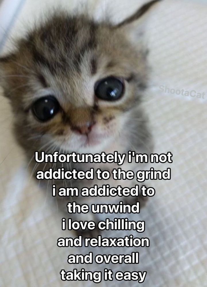 Kitten unfortunately addicted to the unwind rather than the grind