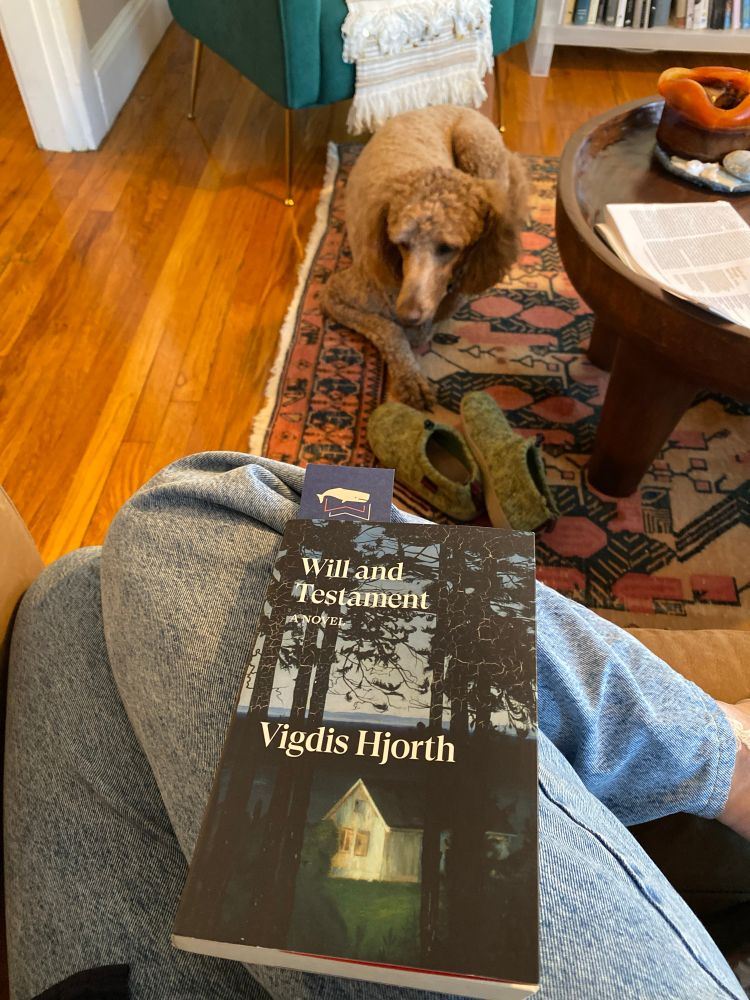 a golden doodle sits before a sofa on which vigdith hjorth’s novel is perched on a pair of jeans (inside which are my legs). there is a white house among silhouetted trees on the book cover. and a pair of green slippers between the dog and the sofa.