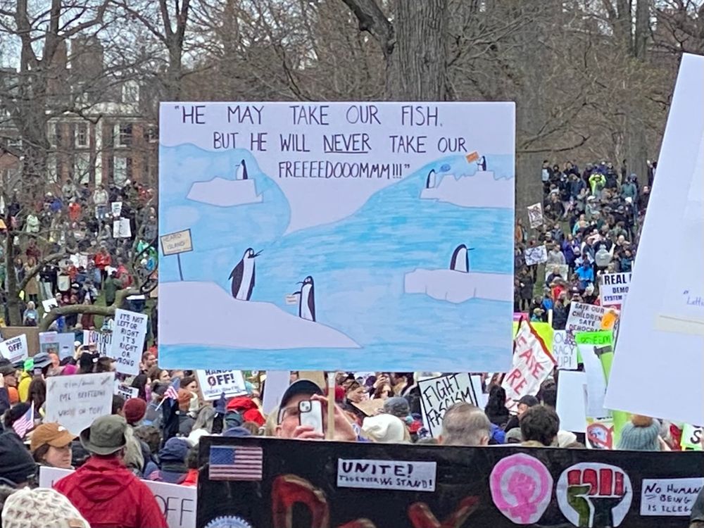 hand drawn penguins on a protest sign 