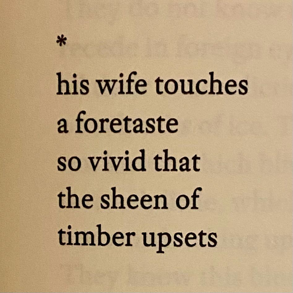five lines from the poem “difficulties of a heavy body” by rosmarie waldrop
