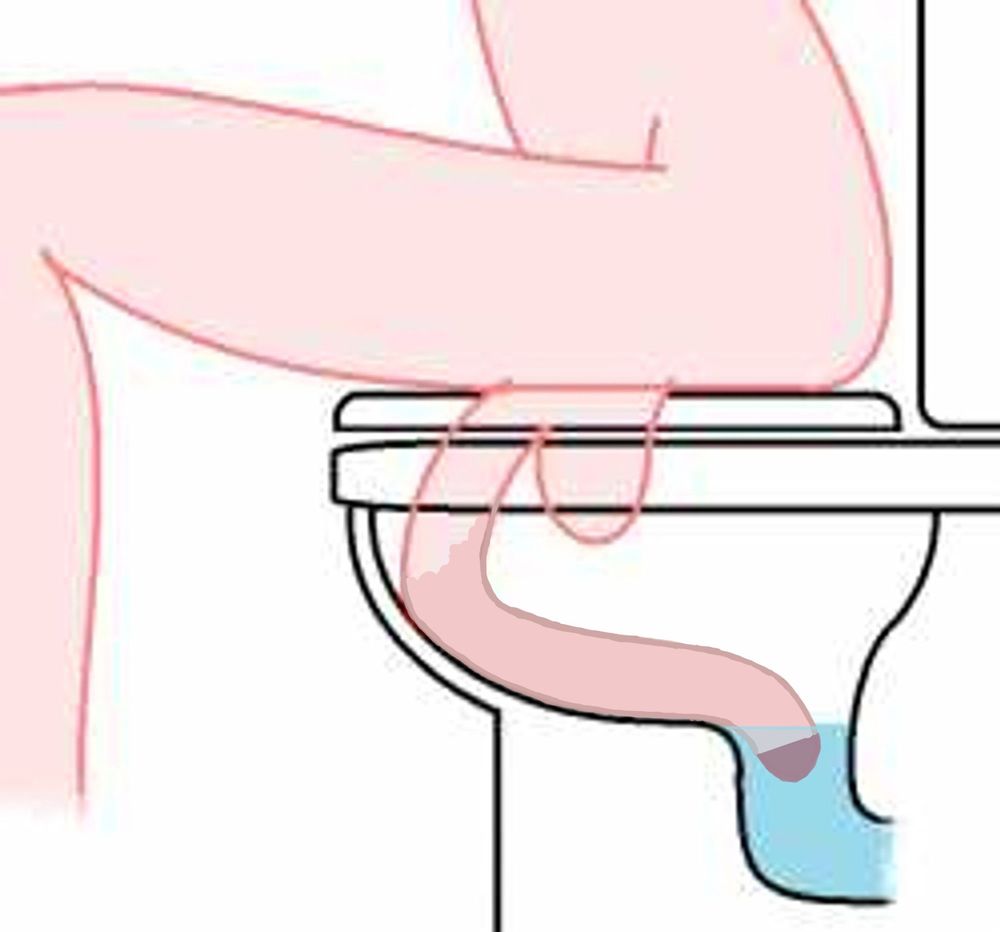 Crew drawing of a man sitting on a toilet with his penis snaking into the water