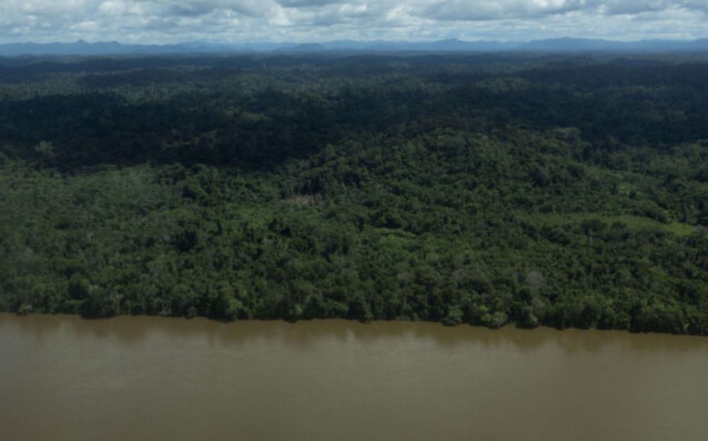 Como terras indígenas contribuem para a conservação e restauração de florestas na Amazônia brasileira