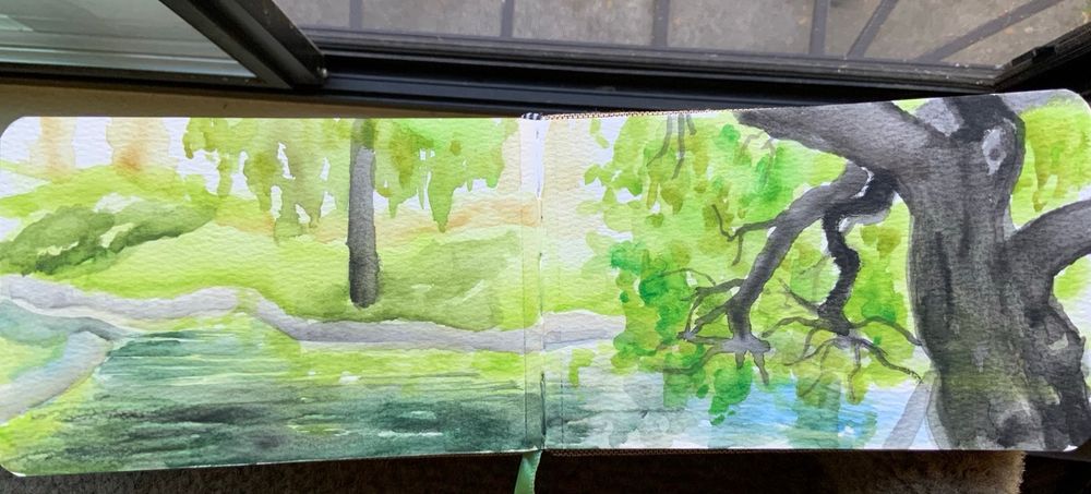 A green grass and trees area near a small creek. 