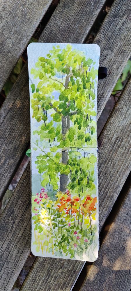 A long, two paged watercolor sketch of a garden area with a tall tree in the background. 