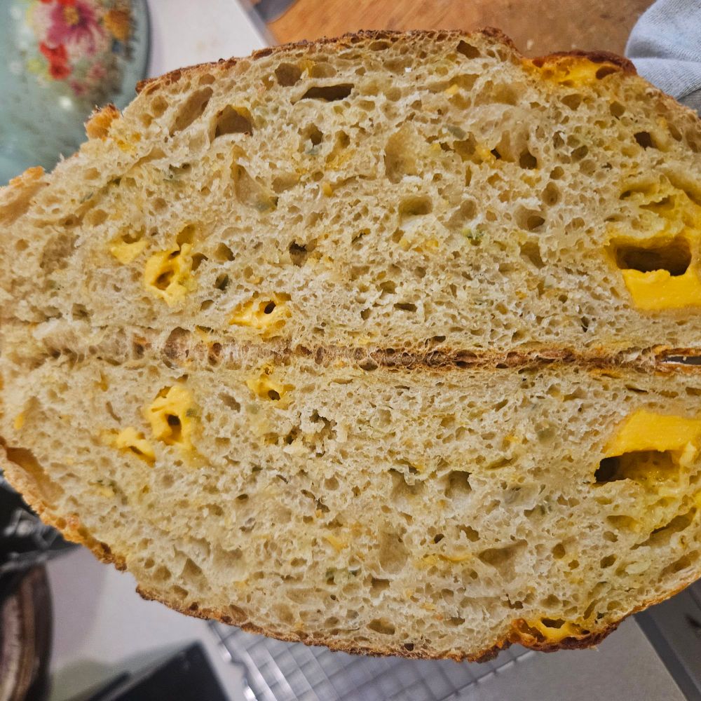 Sourdough crumb shot which sounds more frisky than hey look at the middle of the bread. 