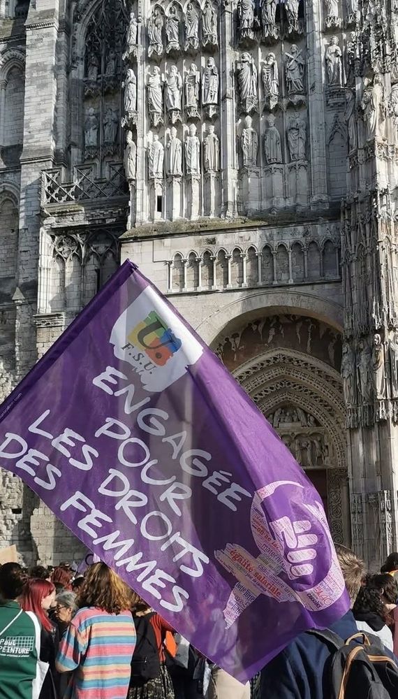 Drapeau fsu violet