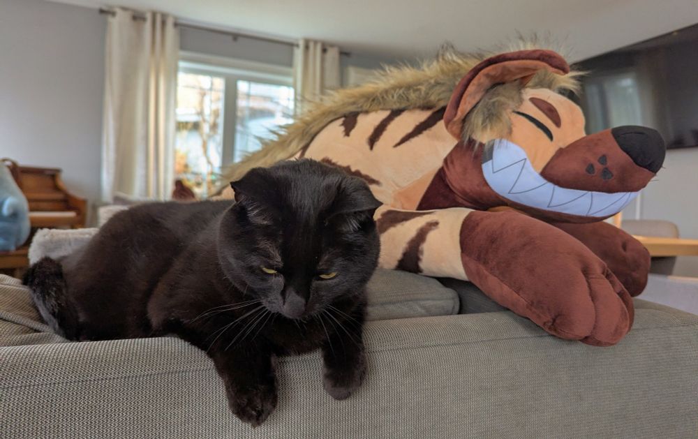 my cat and a big hyena plush doing the same pose, hanging over the edge of a couch with paws hanging down