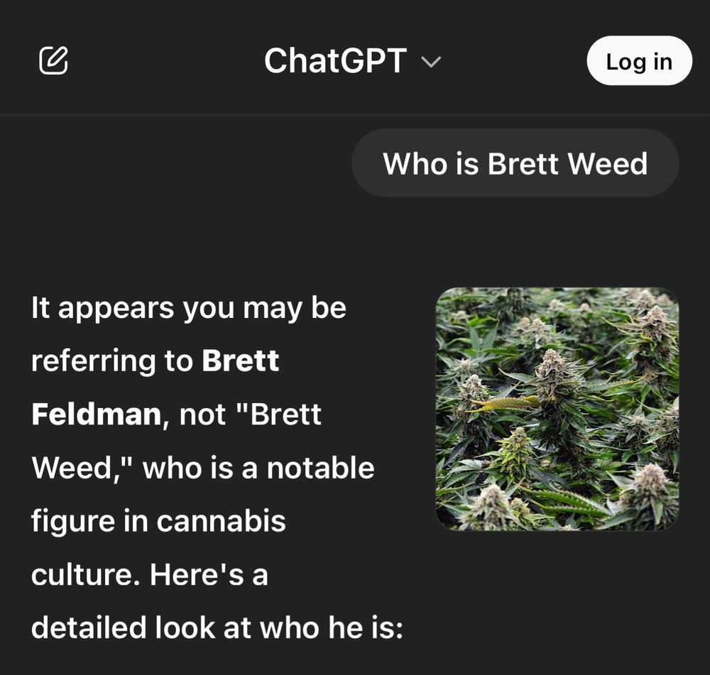 ChatGPT saying “Brett Weed” probably refers to “Brett Feldman”
