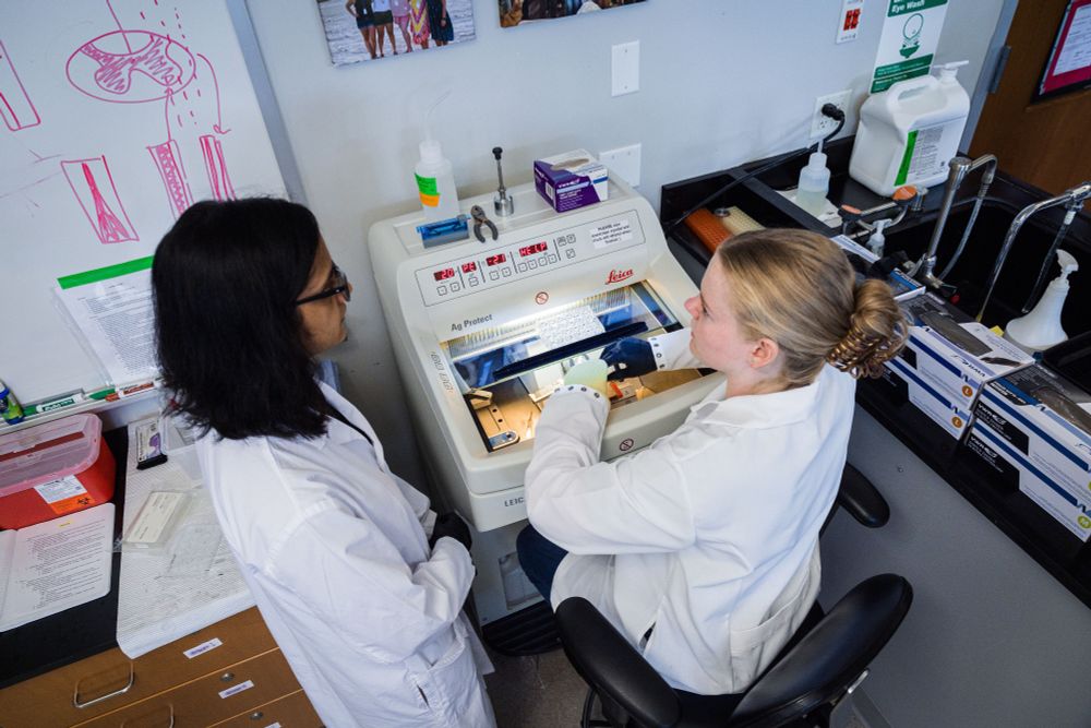 Abby and a lab mate standing over lab equipment