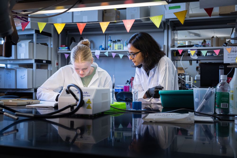 Abby and a lab mate standing over lab equipment