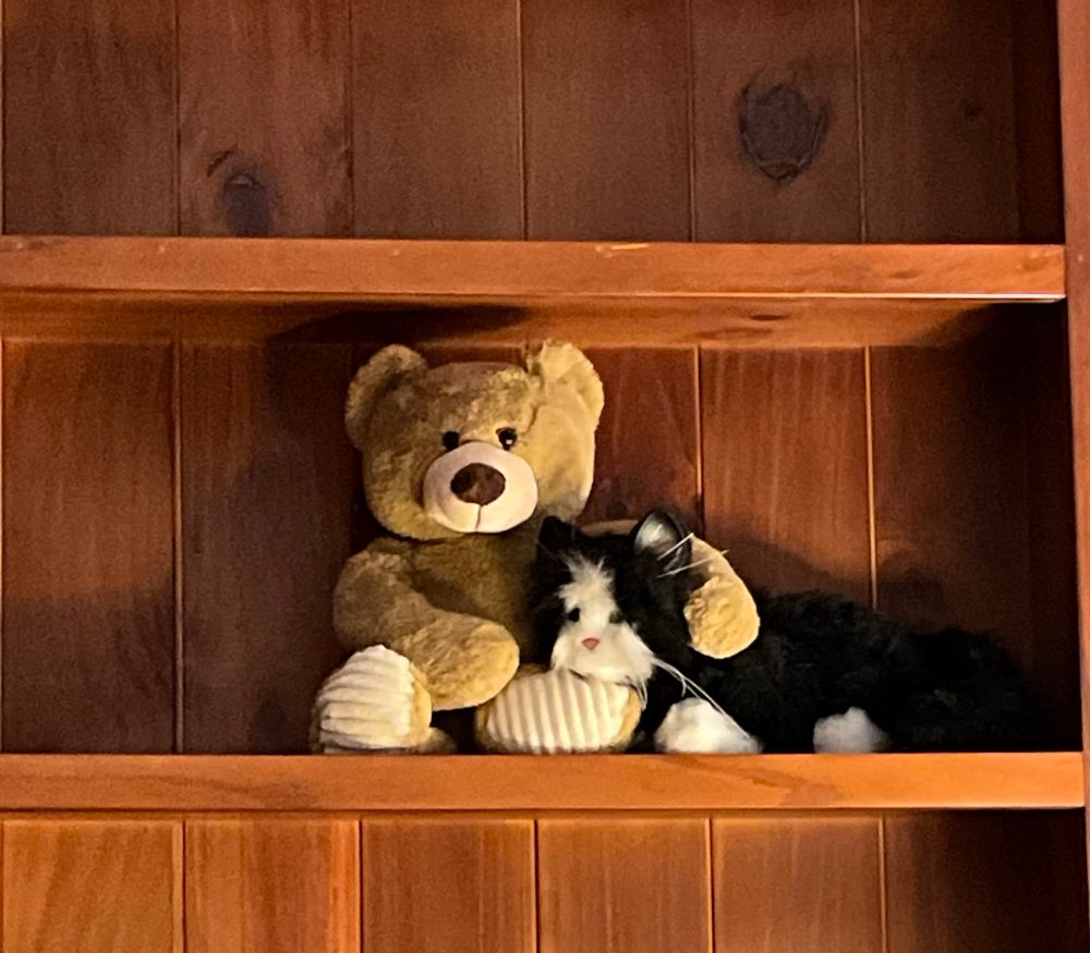 A light brown teddy bear with a paw hugging a toy black and white cat. They’re in a brown bookcase.