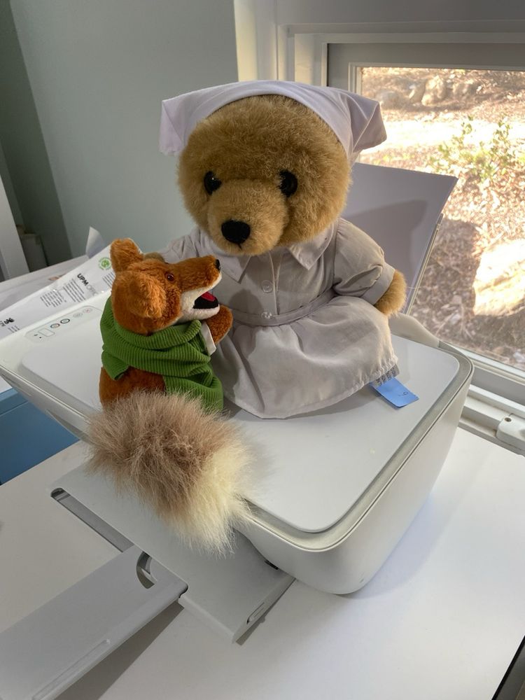 A toy Basil Brush and a Care Flight nurse bear are getting to know each other on a home printer.