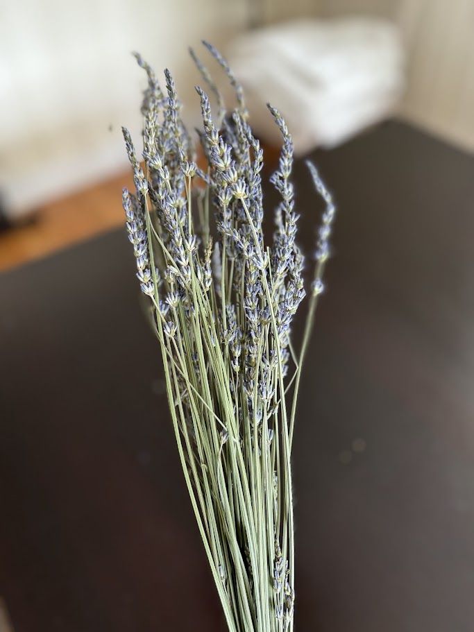 ラベンダーのドライフラワー