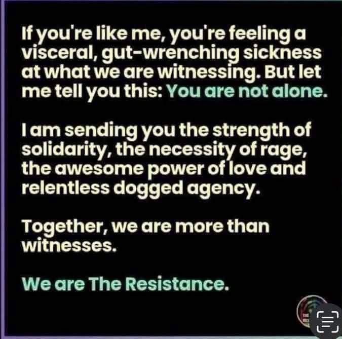 If you’re like me, you’re feeling a visceral, gut-wrenching sickness at what we are witnessing. But let me tell you this: YOU ARE NOT ALONE.
I am sending you the strength of solidarity, the necessity of rage, the awesome power of love and dogged agency. 
Together we are more than witnesses,
WE ARE THE RESISTANCE!