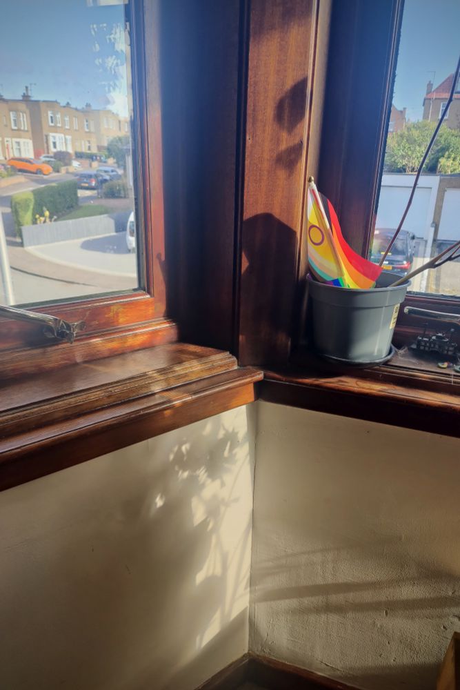 Light and shadows of leaves on a sunny morning. In a plant pot, a small Pride flag glows.