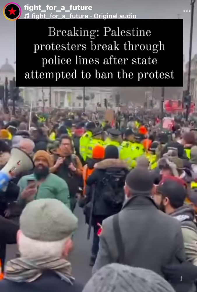 Palestine protesters break through police lines after state attempted to ban the protest. 