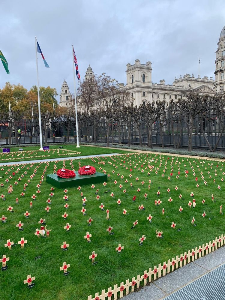 Remembrance Garden of crosses and poppies to represent constituencies across the country honouring lives lost in the Second World War. At the back of the garden are three flags.
