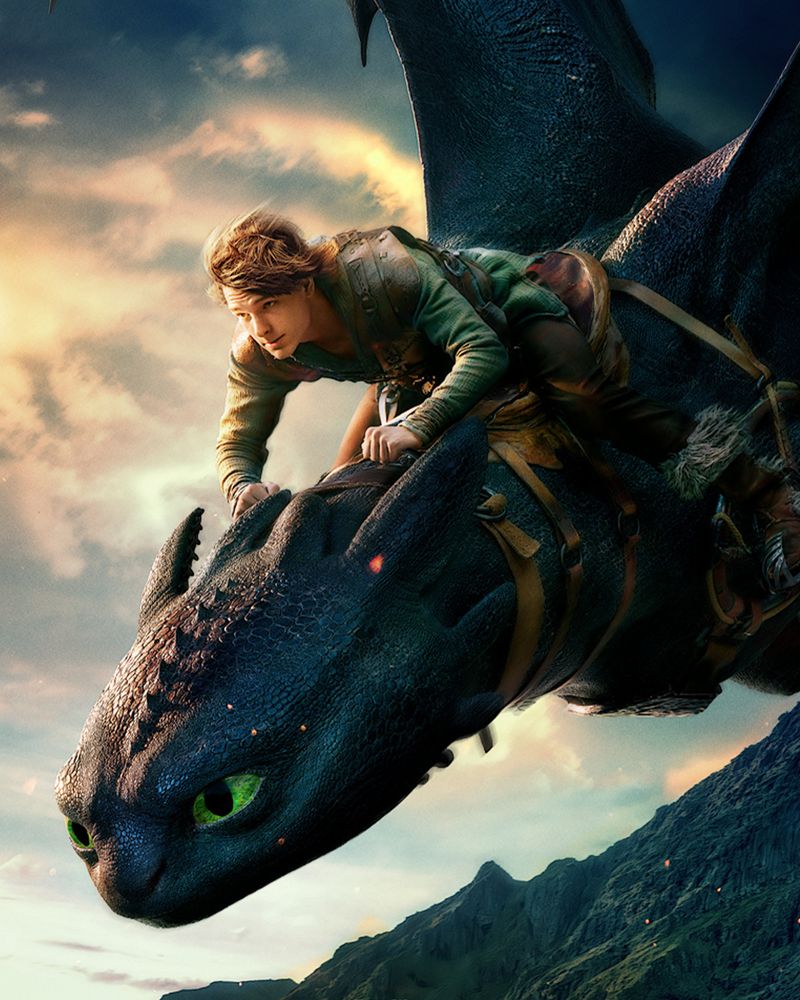 How to train your dragon  -  Hiccup riding Toothless