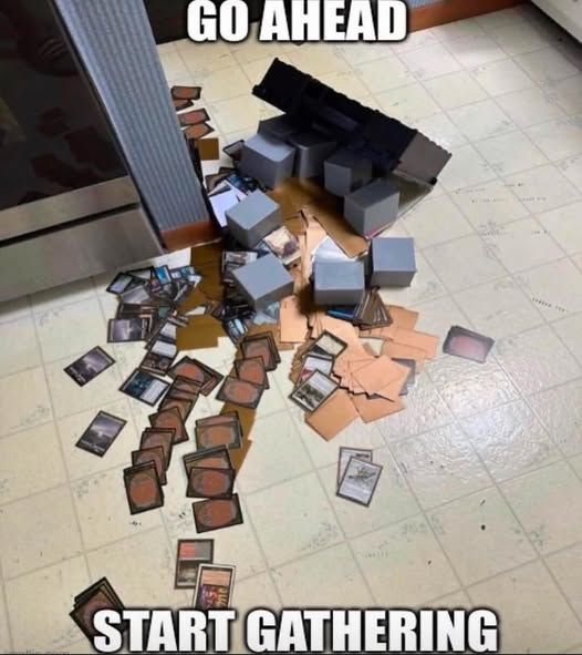A meme format picture of a dropped box of Magic: the Gathering cards on a tile floor, cards scattered all around. Caption reads "GO AHEAD, START GATHERING."