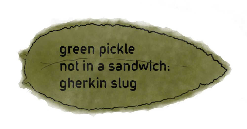 On the background of a gherkin slug outline coloured in green the text/haiku 

green pickle
not in a sandwich:
gherkin slug