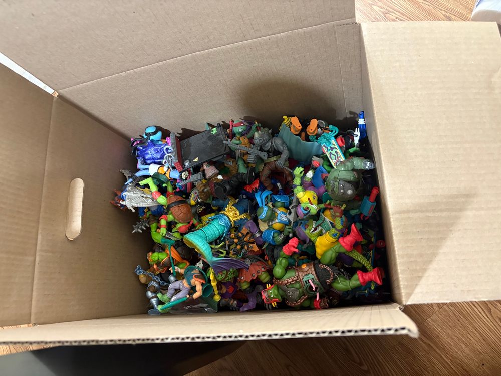 A box full of TMNT and MOTU action figures 