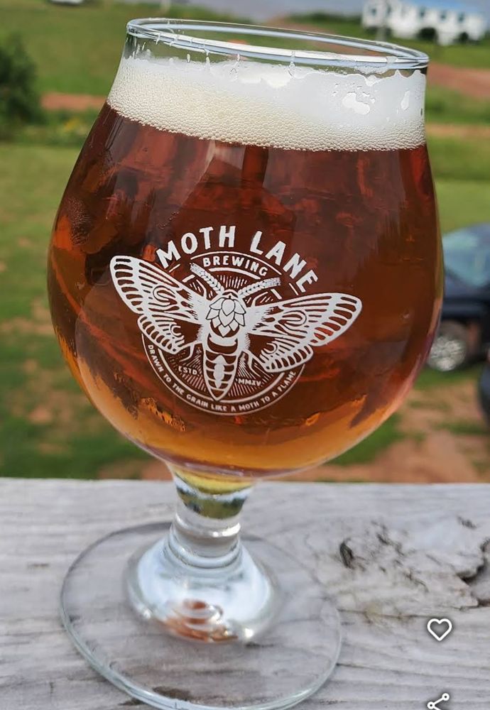 Moth Lane Brewing glass with beer in it.