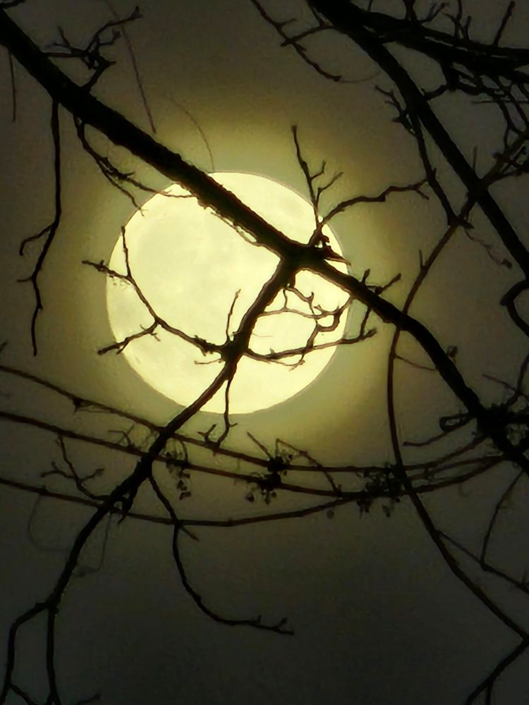 zoomed in picture of the moon