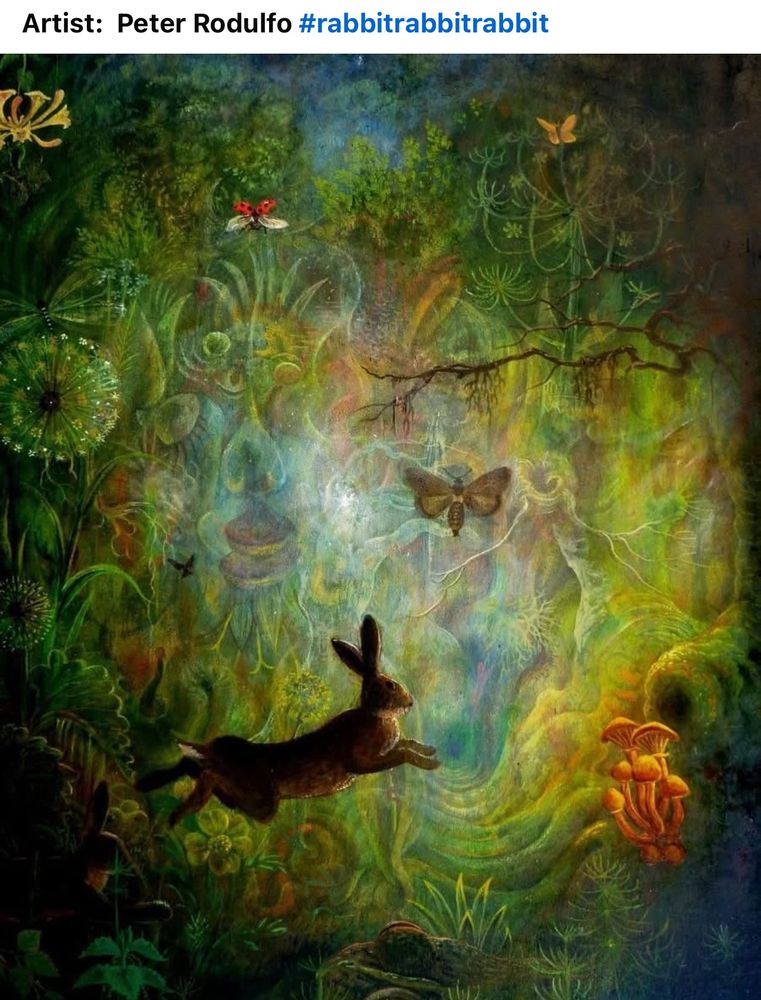 Rabbit! Rabbit!