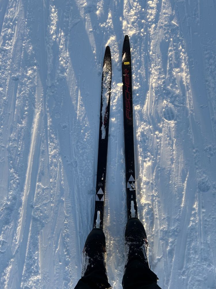 A pair of cross country skis on snow