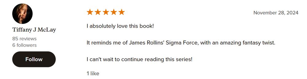 5 star review of my latest book "Reflections of Fractured Dreams"