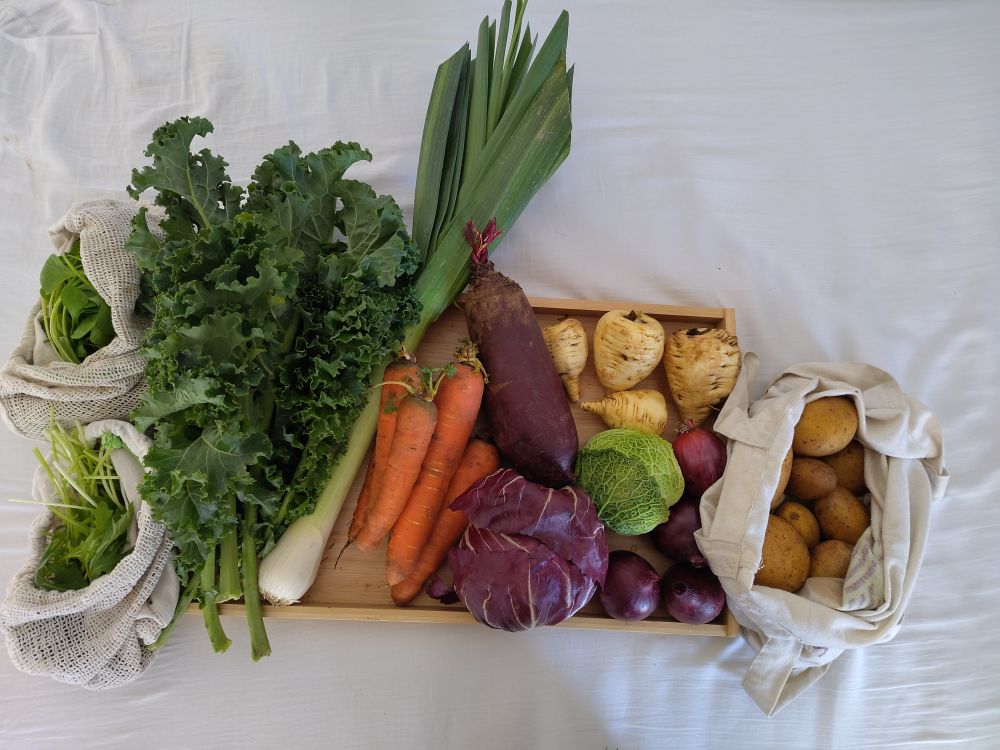 Ein Gemüseanteil für eine Woche im Herbst. Zu sehen sind: Ein kleiner Beutel Asia-Salat, ein kleiner Beutel Postelein, Grünkohl, eine Stange Lauch, einige Möhren, eine große Rote Beete, ein Radicchio-Salatkopf, ein kleiner Wirsingkopf, einige Pastinaken, einige rote Zwiebeln, ein Beutel Kartoffeln