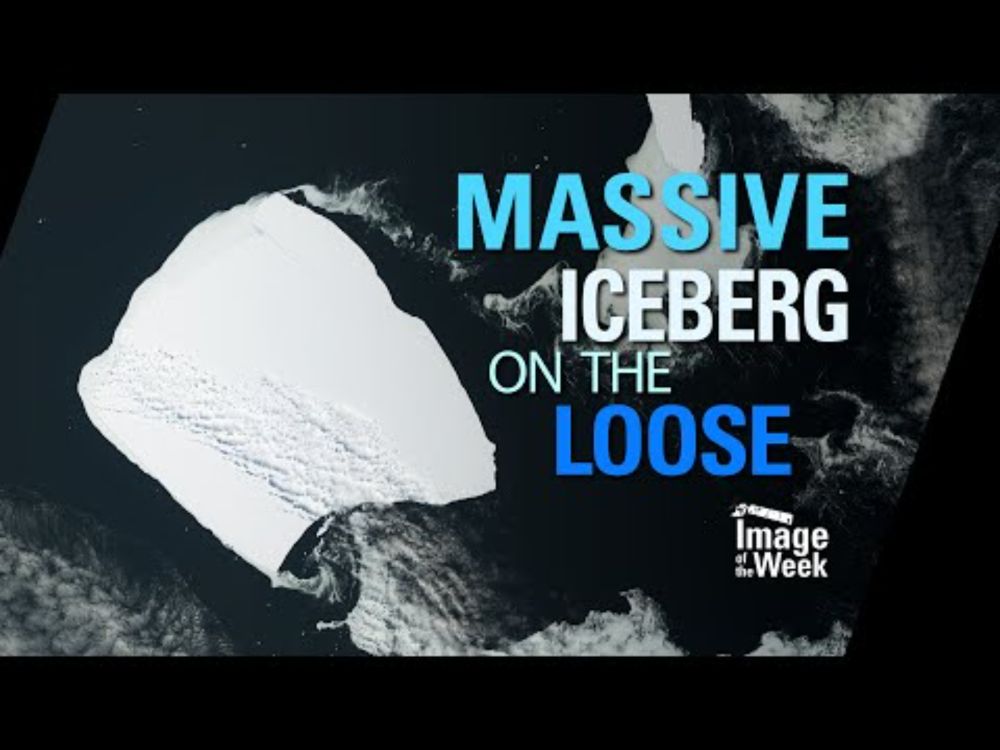 Massive Iceberg on the Loose (Image of the Week)